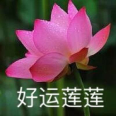 新华网视评｜研学游别只剩一个“游”字